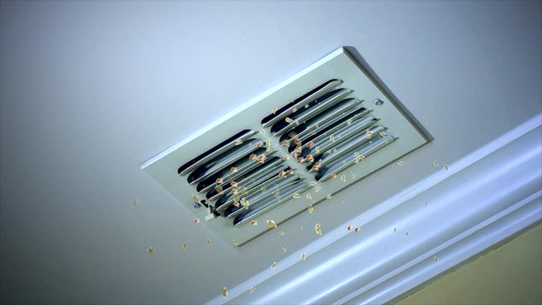 Best Local Air Duct Cleaning Services  in Wild Peach Village, TX