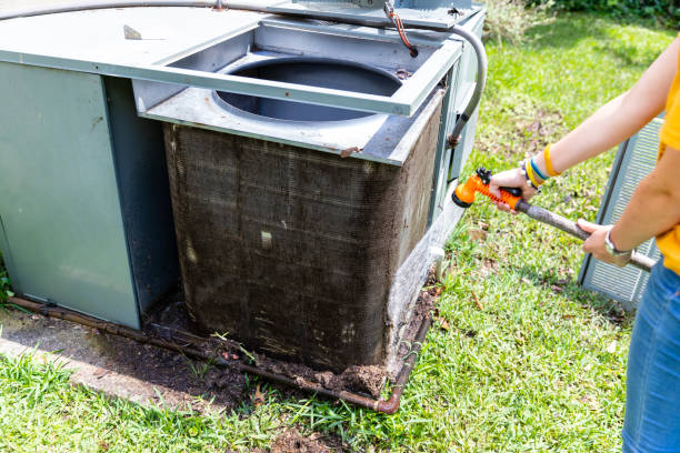 Best Local Air Duct Cleaning Services  in Wild Peach Village, TX