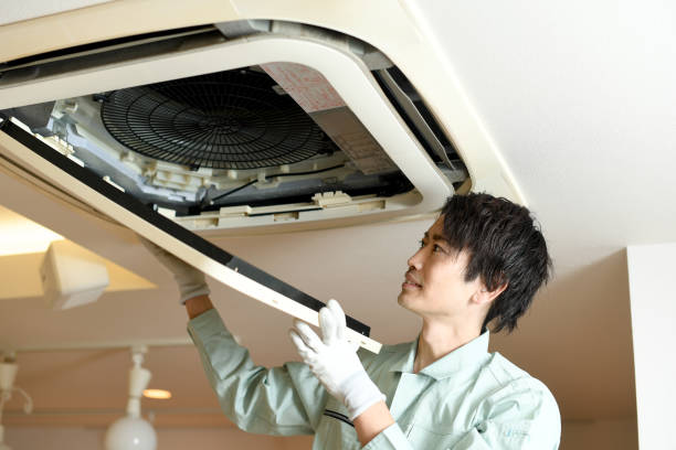 Best Home Air Vent Cleaning  in Wild Peach Village, TX