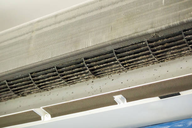 Best HVAC System Cleaning  in Wild Peach Village, TX
