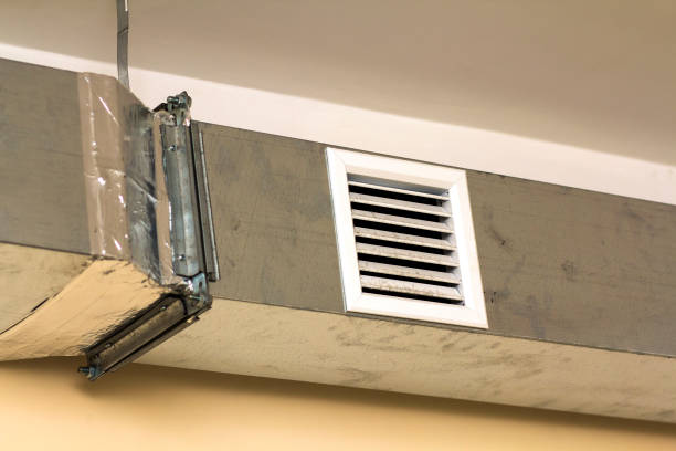 Best Dryer Vent Cleaning Services  in Wild Peach Village, TX